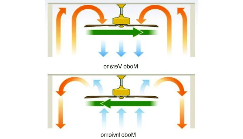 Ventilador del techo