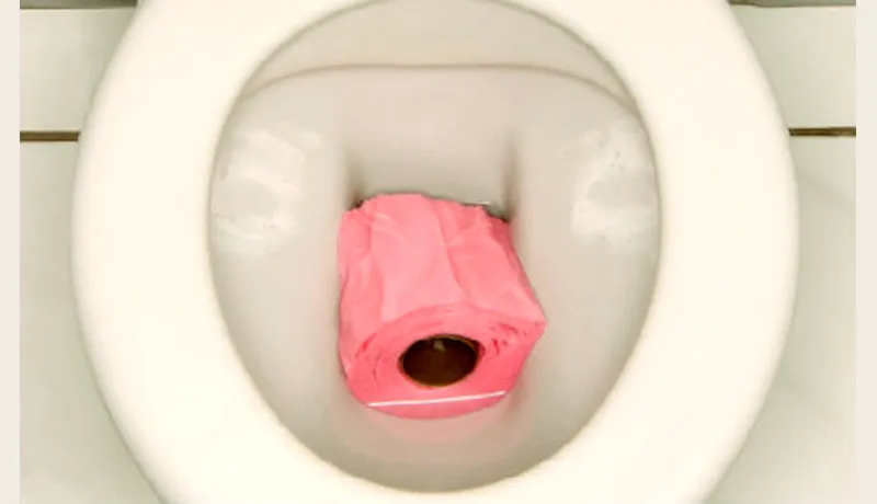 papelera del inodoro 1